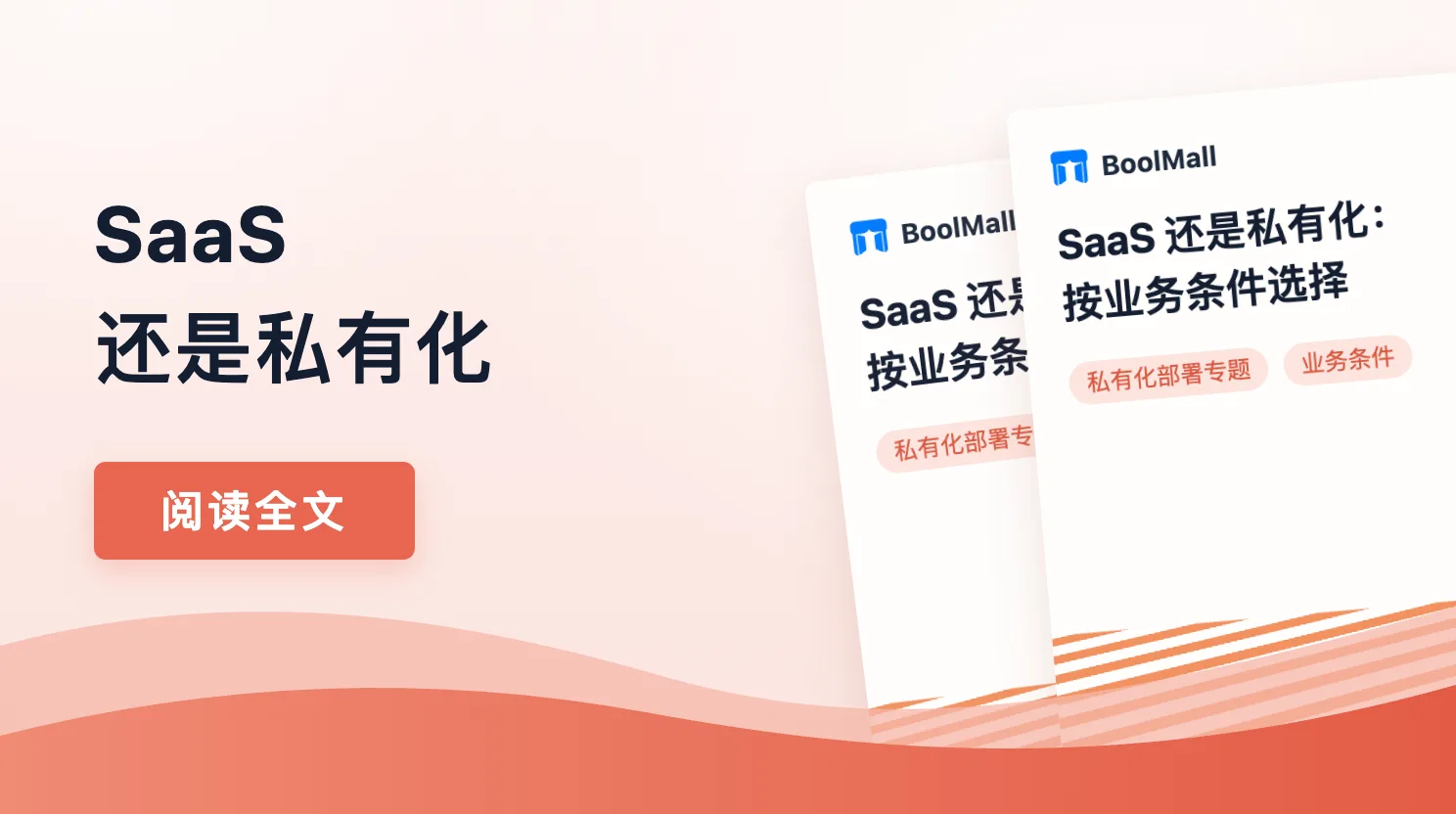 《SaaS 还是私有化：按业务条件选择》封面