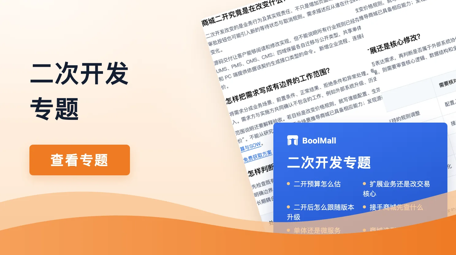 《商城二次开发：成本、边界与可升级性》封面