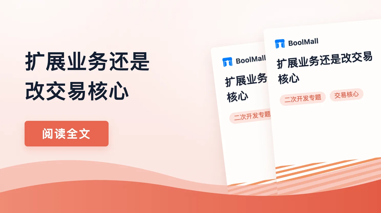 《扩展业务还是改交易核心》封面