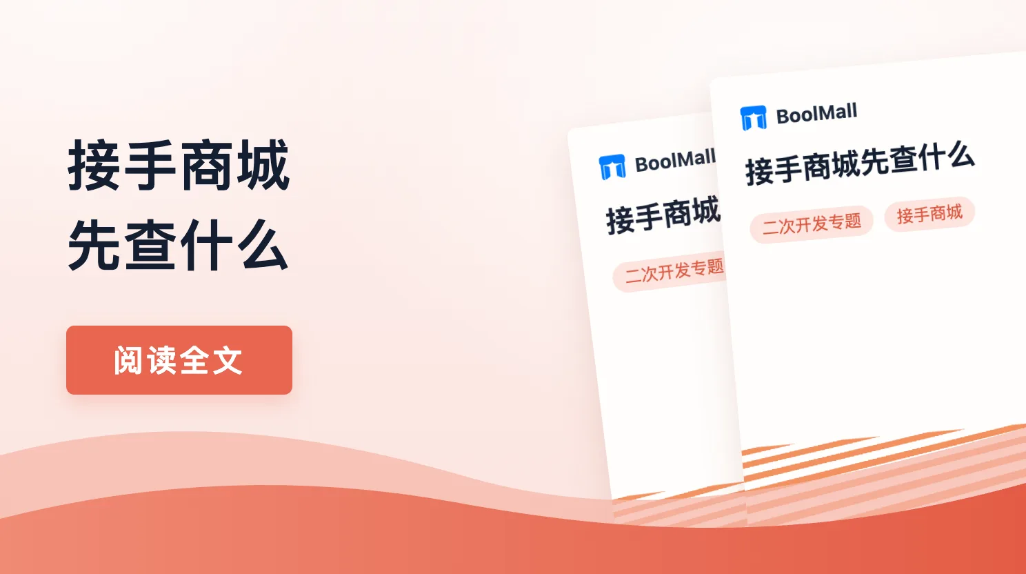 《接手商城先查什么》封面